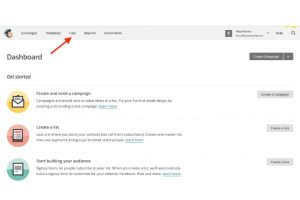 Mailchimp List